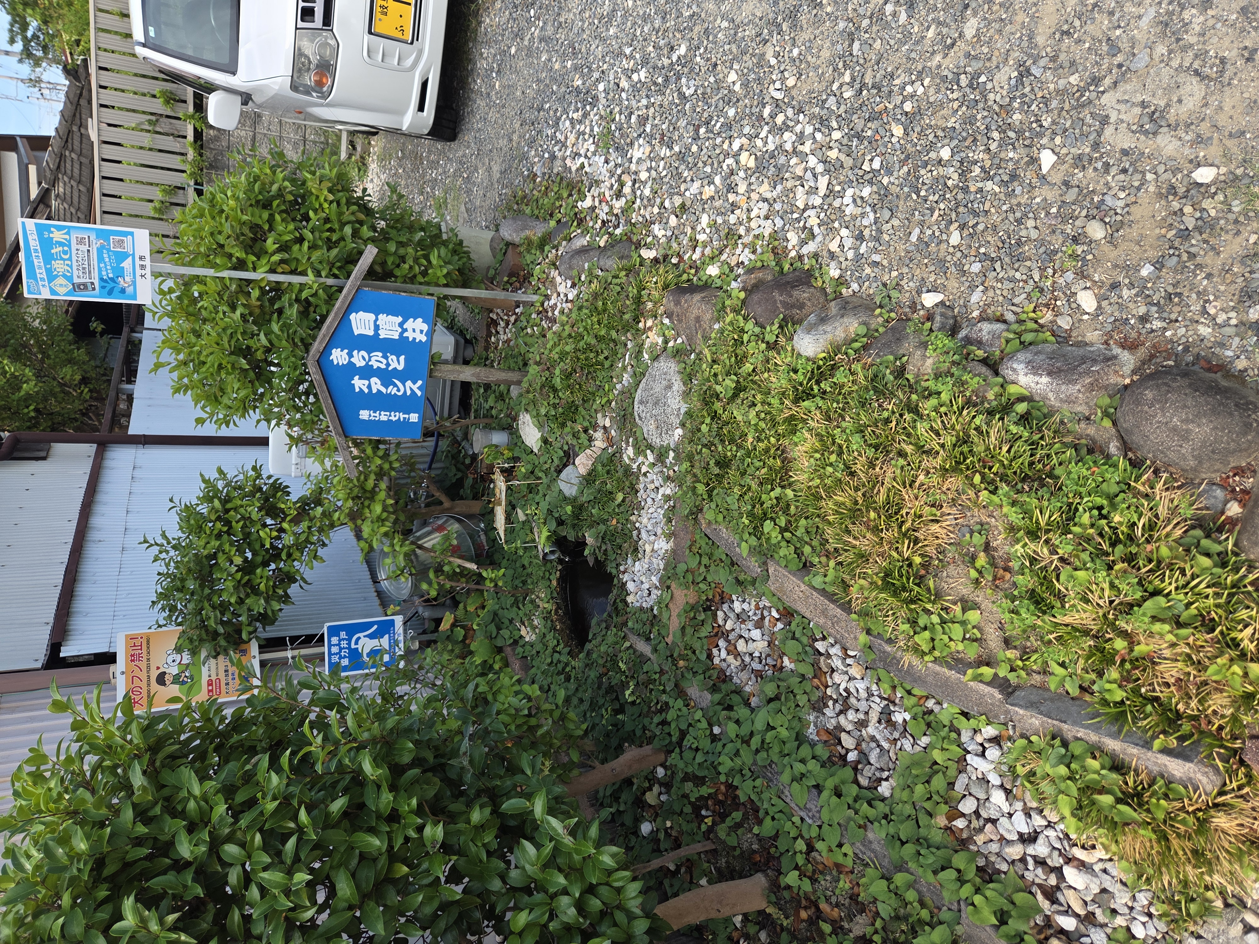 湧き水